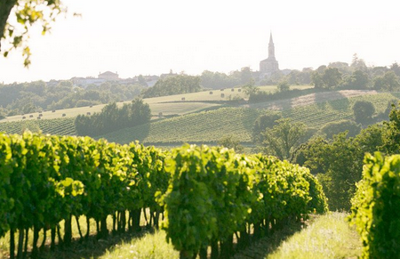 法國香檳產區（Champagne, France）