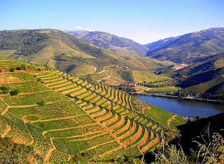 葡萄牙杜羅河（Douro，Portugal）