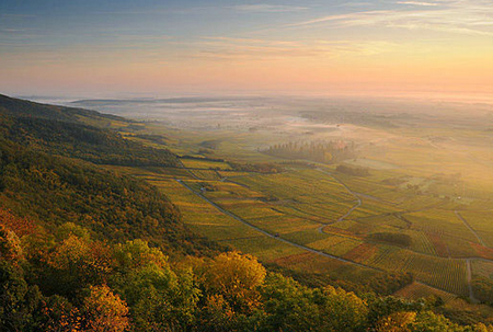 西班牙里奧哈（La Rioja, Spain）   