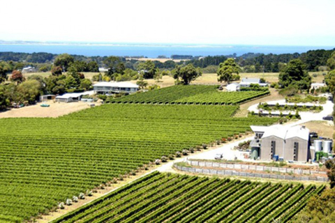 Paringa Estate，Mornington Peninsula