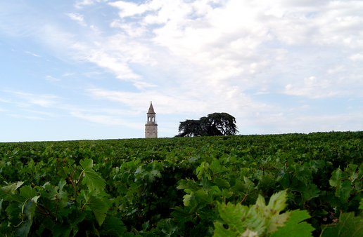 上梅多克產區（Haut-Medoc）