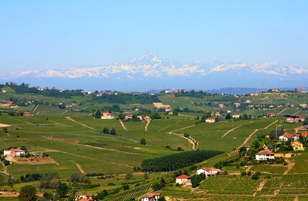 皮埃蒙特產區（Piedmont）