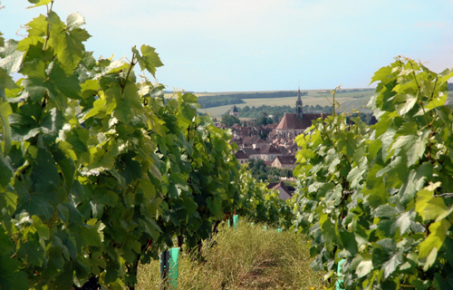 夏布利產區（Chablis）