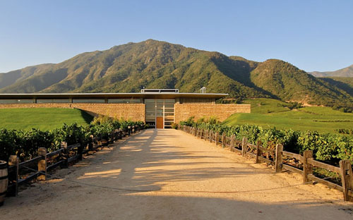 蒙特斯酒莊（Montes Wines）