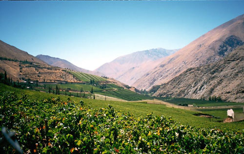 埃爾基谷（Elqui Valley）