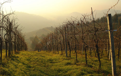 倫巴第產(chǎn)區(qū)（Lombardy）