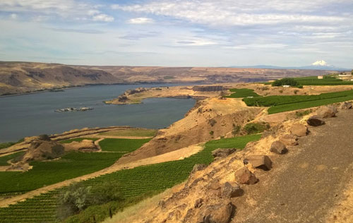 哥倫比亞河谷產區（Columbia Gorge）