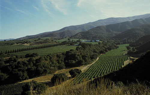 蒙特利縣（Monterey County）