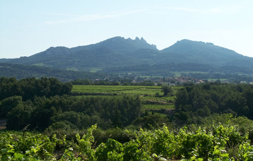 瓦給拉斯（Vacqueyras）產區