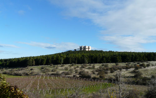 蒙特堡產區(qū)（Castel del Monte）