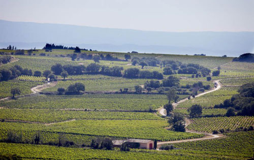 羅納河谷（Rhone Valley）葡萄酒產區