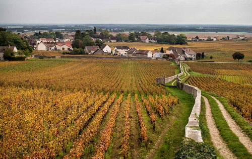 阿曼?盧梭酒莊（Domaine Armand Rousseau）