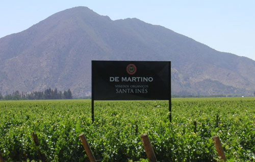 蒂瑪尼莊園（De Martino）