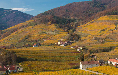 瓦豪產區（Wachau）