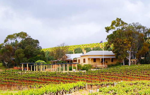 格林諾克酒莊（Greenock Creek Vineyard）