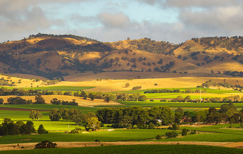 巴羅薩谷（Barossa Valley）