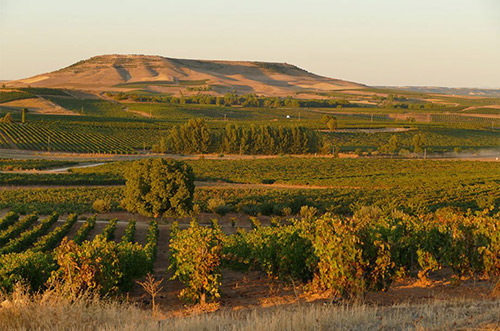 杜埃羅河岸產區(qū)（Ribera del Duero）